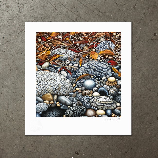 Image of Tidal Collection - Art Print