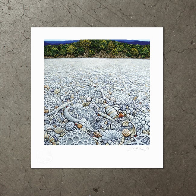 Image of Coral Beach - Art Print