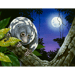 Image of January Moon (Spotted Cuscus) - Art Print