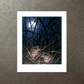 Image of Moonlight Romance - Art Print