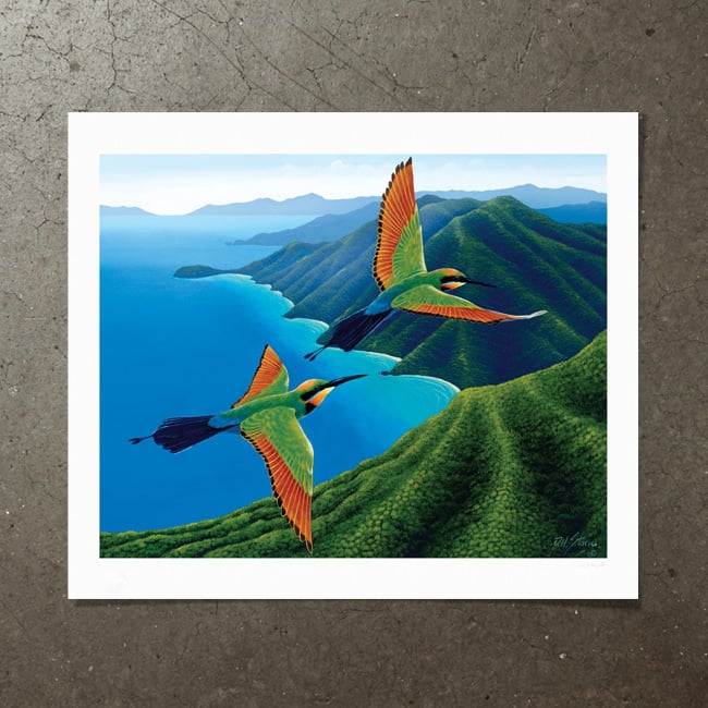 Image of Rainbow Bee Eaters in Flight  - Art Print