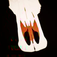 Image 4 of Shiver My Bones