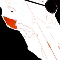 Image 5 of Shiver My Bones