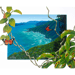 Image of Where the rainforest meets the reef - Art Print