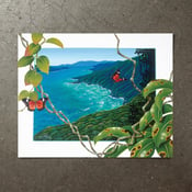 Image of Where the rainforest meets the reef - Art Print