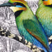 Image of Rainbow Bee Eater - Art Print