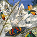 Image of Beetles, Moths and Butterflies - Art Print