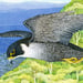 Image of Peregrine Falcon - Art Print