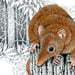Image of Yellow Footed Antechinus - Art Print