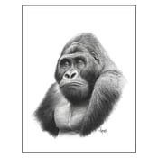 Image of "Mountain Gorilla" Print