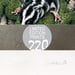 Image of Striped Possum - Art Print