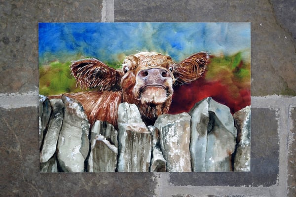 Image of 'Nosey Coo' Limited Edition Print