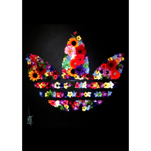 Image of Adidas Original ( Limited Edition Print)