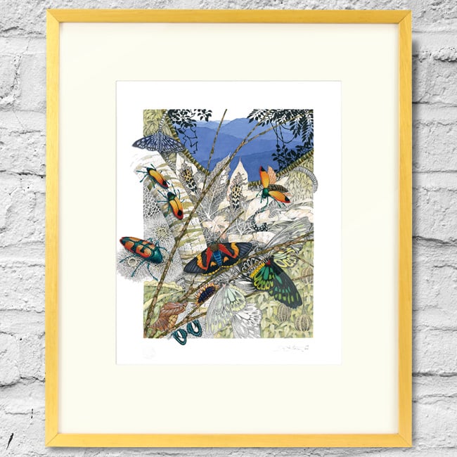 Image of Beetles, Moths and Butterflies - Framed Print