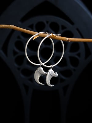 Image of BOBCAT CLAW HOOPS