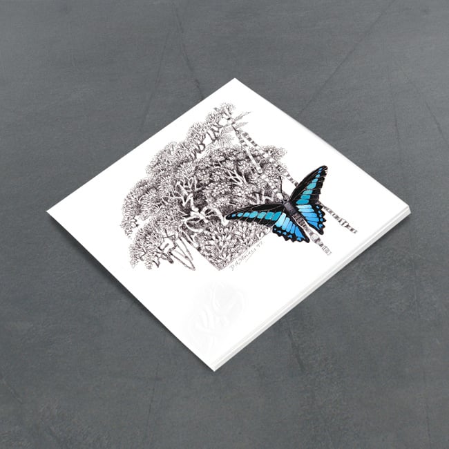 Image of Blue Triangle Butterfly - Miniature