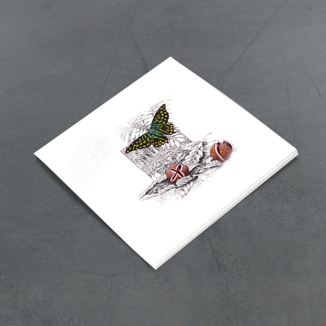 Image of Green Spotted Triangle Butterfly - Miniature