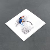 Image of Buff Breasted Paradise Kingfisher - Miniature