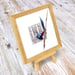 Image of Lovely Fairy Wren - Miniature