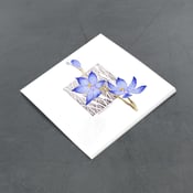 Image of Scented Sun Orchid - Miniature