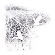 Image of Great Egret - Miniatue