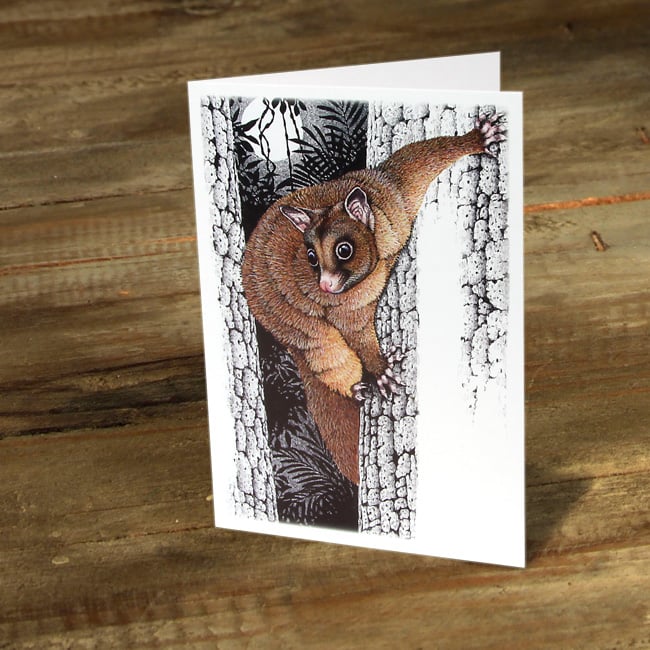 Image of Coppery Brushtail Possum - Gift Card