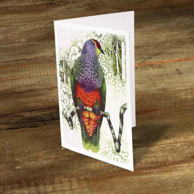 Image of Rose Crowned Fruit Dove - Gift Card