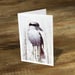 Image of Laughing Kookaburra - Gift Card