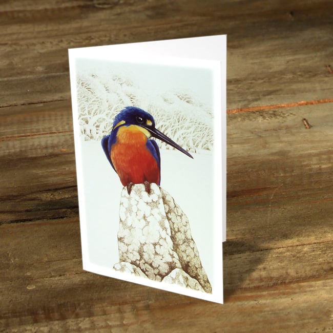 Image of 0Azure Kingfisher - Gift Card