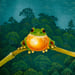 Image of Red Eyed Tree Frog Calling For a Mate - Gift Card