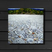 Image of Coral Beach - Canvas Print