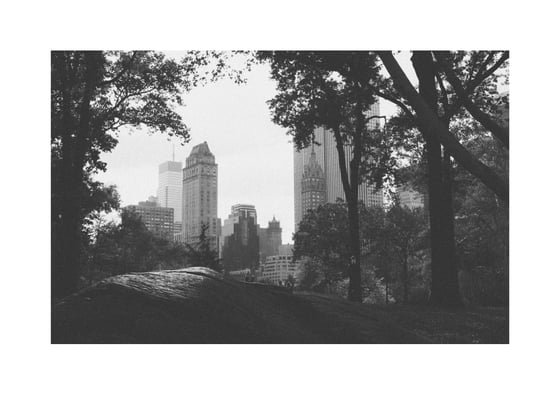 Image of 'Through Trees' Photograph print by George Coghlan