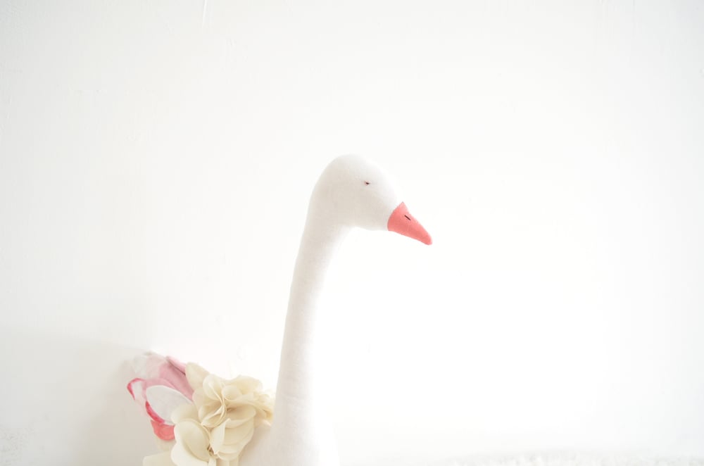 Image of "Lake swan