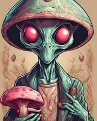 Image 2 of One Up x Bare Woods 4g Cone Head T