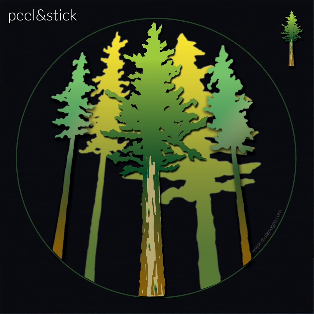 Redwood Forest Stickers: Three Vinyl Stickers, Coastal Redwood, Banana –  Coyote Brush Studios