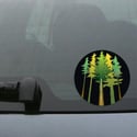 Redwood Trees Decal 3-pack of Stickers