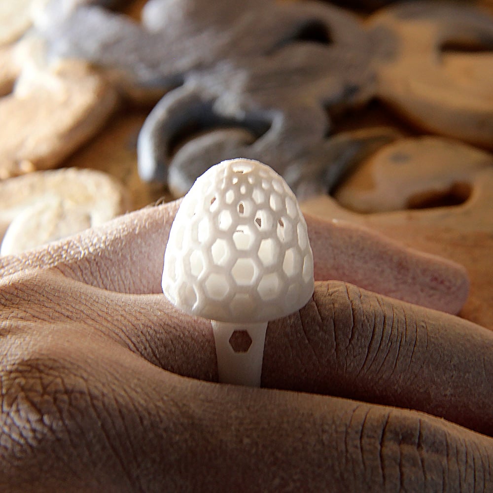 Image of 3D printed ring BEHAVE