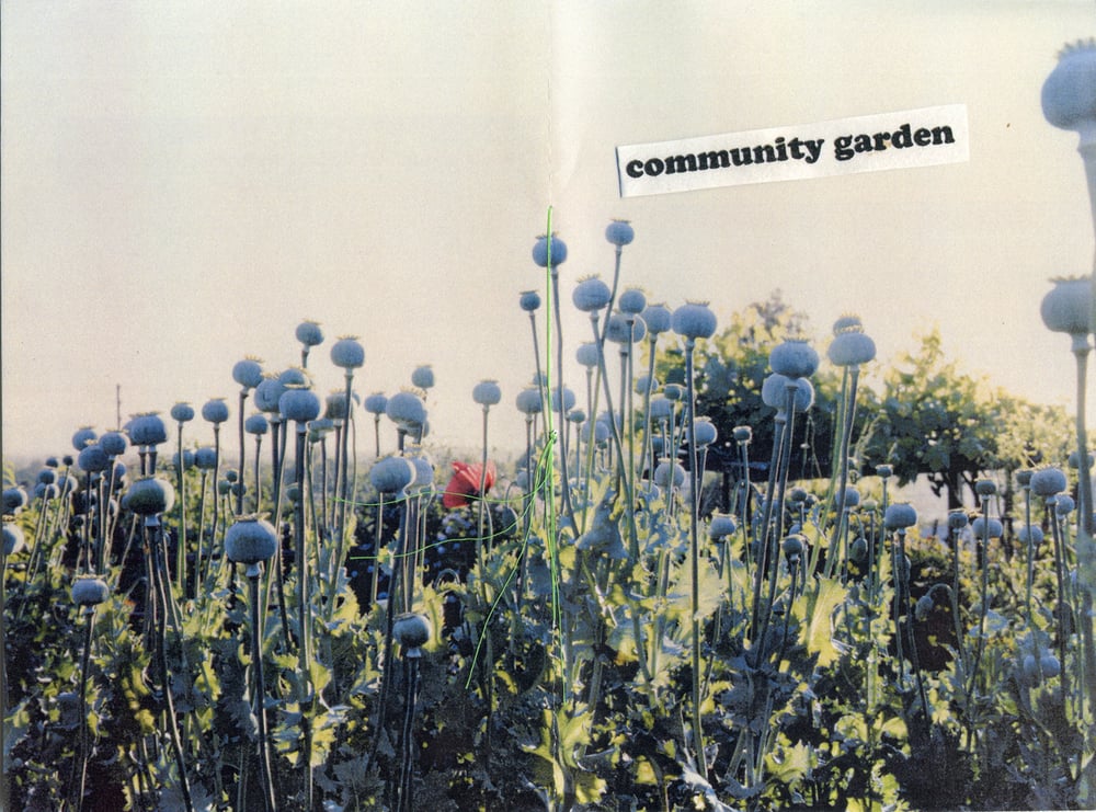Image of community garden