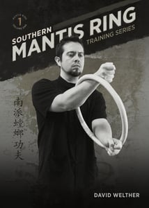 Image of Southern Mantis Ring: Training Series Volume 1 DVD