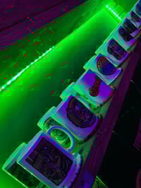 Image 13 of Mug, Coaster and  Pen - combo deal !!!!!!