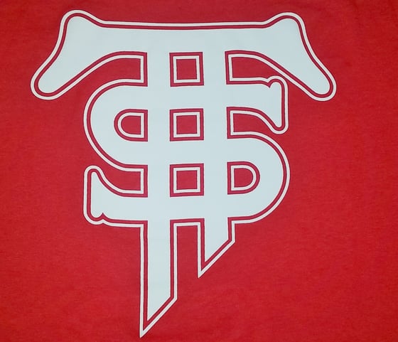 Image of Terminally Skilled Logo 