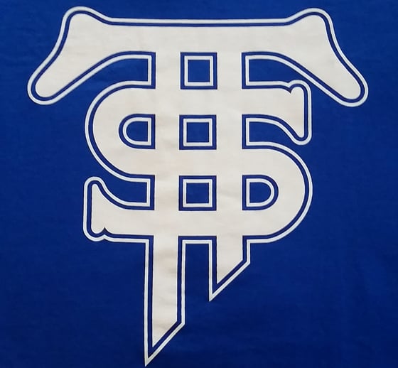 Image of Terminally Skilled Logo Royal Blue/White