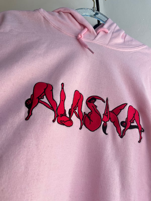 Image of Alaska Embroidered Heavy Blend Hoodie // Pink