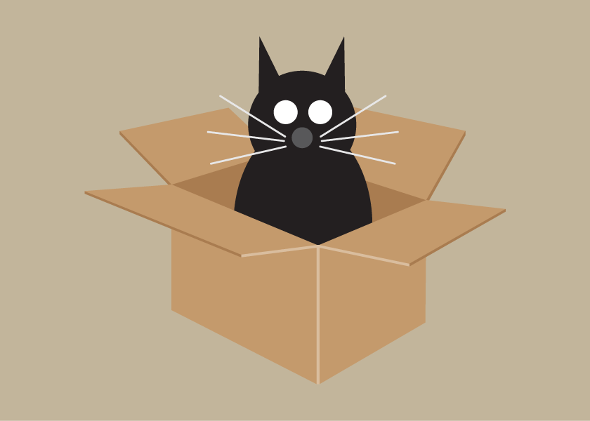 https://assets.bigcartel.com/product_images/147789979/BLACK-CAT-IN-BOX.png?auto=format&fit=max&w=1000