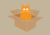 Image 5 of Cat in Box Collection