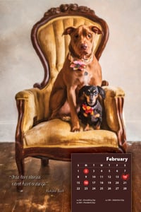 Image of Collectible 2015 Destiny the Pibble Calendar