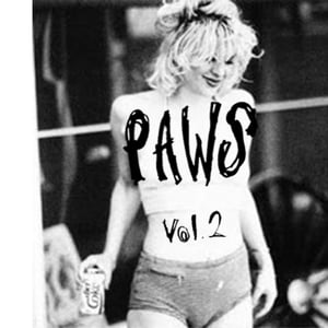 Image of PAWS "Vol​.​2" Cassette