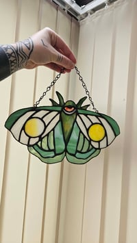 Image 2 of Moth green