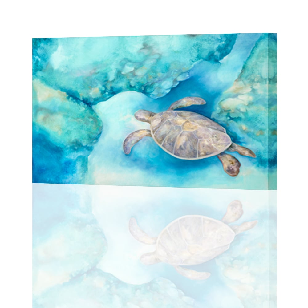 Image of Sea Turtle Giclee Print