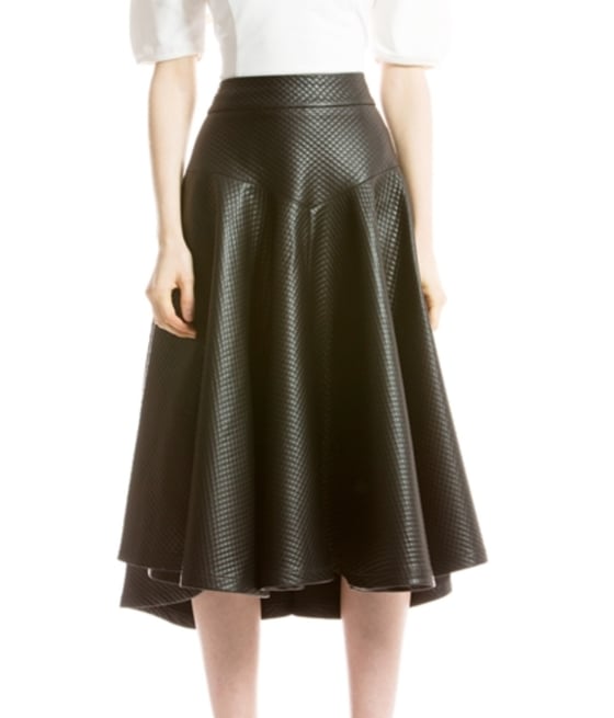Image of Adrianne Dive Skirt
